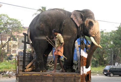 അറിയുന്നവ, പക്ഷെ ഓർക്കപ്പെടാത്തവ