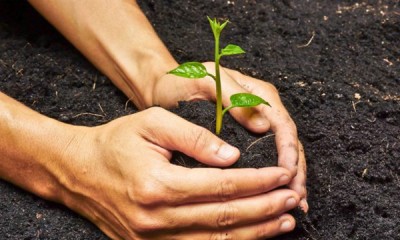 ലോ­ക പ്രകൃ­തി­ സംരക്ഷണ ദി­നാ­ചരണങ്ങളു­ടെ­ പ്രസക്തി­ 