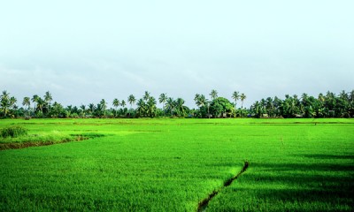 വരുംകാ­ല നന്മകളു­ടെ­ നറു­നി­ലാ­വും പേ­റി­ വീ­ണ്ടു­മൊ­രു­ വി­ഷു­ക്കാ­ലം...