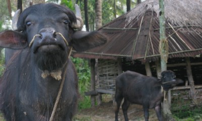 ഇതെന്തു ലോകം ഗോവിന്ദാ...