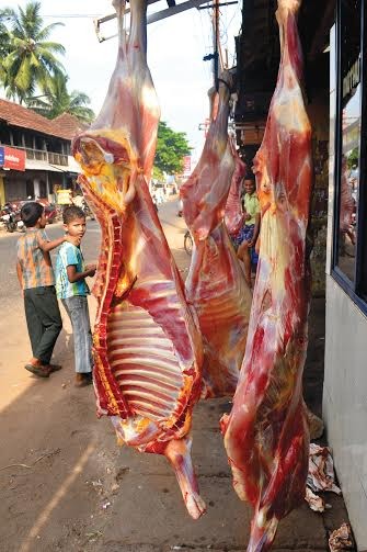 ചില മൃഗാവകാശ ചിന്തകൾ! 