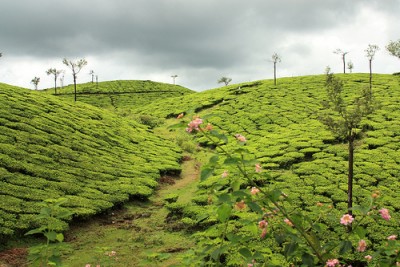 കോളറക്കാലത്തെ രാഷ്ട്രീയ പ്രണയങ്ങൾ