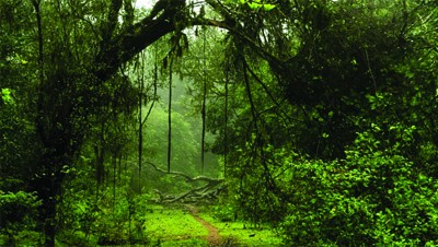 തി­രി­ച്ചറി­വി­ന്റെ­ ദി­നം... 