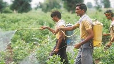 എന്താണ് കഴി­ക്കേ­ണ്ടത്...