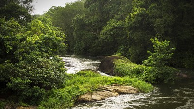 ശബ്ദം, വെളിച്ചം, മതിഭ്രമം