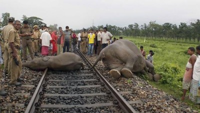 ഈ ഭൂ­മി­ മനു­ഷ്യന്റേത് മാ­ത്രമല്ല!