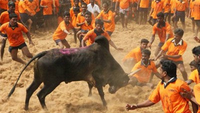 ജല്ലിക്കെട്ടും തമിഴകവും