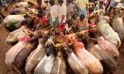 മാഡം, എന്തിനീ മൗനം... പ്രദീപ് പുറവങ്കര 