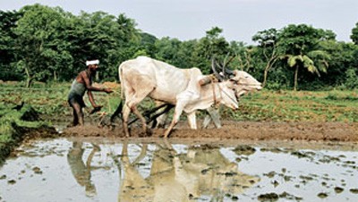 കൃ­ഷി­ ഫേസ്ബു­ക്കിൽ പോ­ര : പാ­ടത്തു­ വേ­ണം