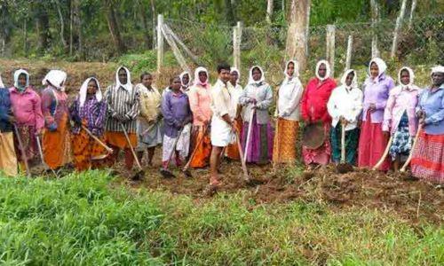 തൊഴിലുറപ്പ് സോഷ്യല്‍ ഓഡിറ്റില്‍ കേരളം വീണ്ടും ഒന്നാമത്