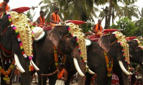 മാര്‍ഗനിര്‍ദേശം പാലിച്ചില്ല; തൃപ്പൂണിത്തുറ പൂര്‍ണ്ണത്രയീശ ക്ഷേത്രത്തിലെ ആന എഴുന്നള്ളിപ്പില്‍ കേസെടുത്ത് വനം വകുപ്പ്