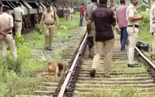 കണ്ണൂരിൽ ട്രെയിൻ കത്തിച്ച സംഭവം; പശ്ചിമ ബംഗാൾ സ്വദേശി കസ്റ്റഡിയിൽ